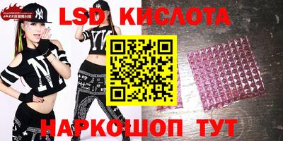 Альфа ПВП Кандалакша