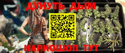 Альфа ПВП Кандалакша