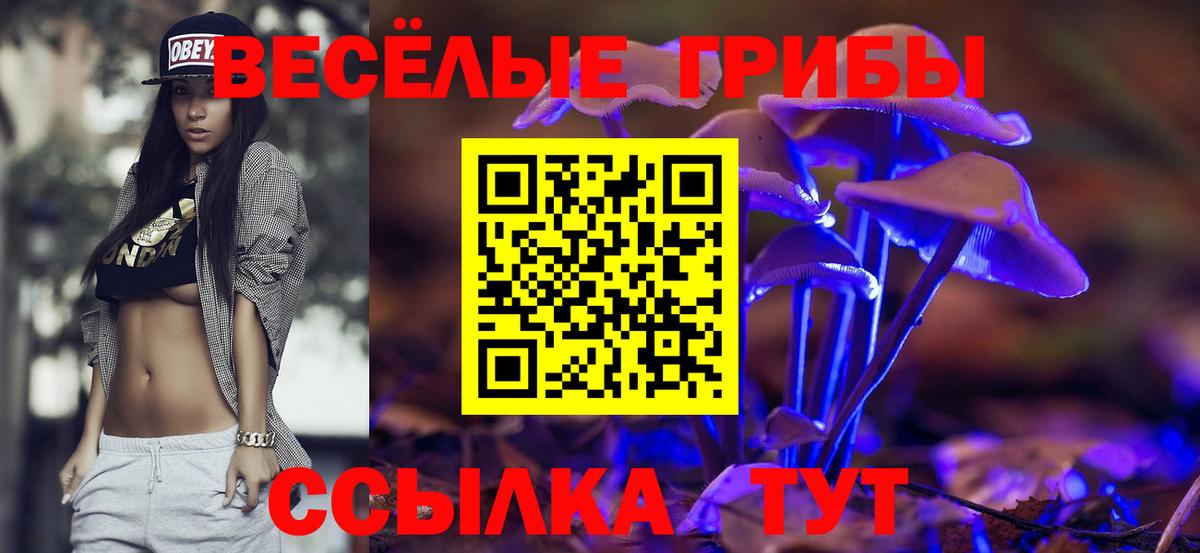 Туймазы  купить  сайты  Вход с VPN  Галлюциногенные грибы прущие грибы  Галлюциногенные грибы мухоморы 